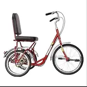 Adult Tricycles, 3 Wheel Bikes for Adults, Safe Fast Shipment Adult Tricycles Single Speed 20Inch 3 Wheel Bikes Bicycles with Rear Shopping Basket for Seniors, Women