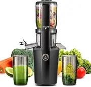 Cold Press Juicer，Slow Masticating Juicer,4.2-inch Large Bore Feed Chute， Juicer Machines Vegetable and Fruit,Easy to Clean, High Juice Yield,250W (black)