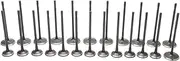 HXYBBGS 5184127AC 5184128AE Intake Exhaust Valves Compatible with Chrysler Dodge Grand Caravan Jeep 3.6L 2011 2012 2013 2014 2015 2016 2017 2018 2019 V3263 V3264