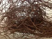 Artificial silk wedding flower DoDo vine for invitation & craft (latte)