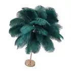 Ostrich Feather Table Light Modern 3 Color Light Change Bedroom Bedside Lamp For