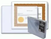 Case / 200 BCW Stock Certificate Rigid Plastic Topload Holders sheets protectors