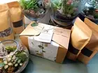 DIY terrarium kit - specialty soil substrate, pebbles, horticultural charcoal