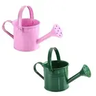 2PCS Home Kawaii Mini Flower Kettle Metal Watering Can Water Spraying Pot