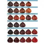 Hair Color Chart Fanola