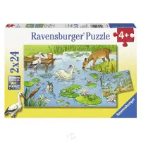 在飛比找博客來優惠-【德國Ravensburger拼圖】池塘生態-2x24片