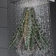 20/10Pcs Dried Eucalyptus Bundle for Shower Hanging Eucalyptus Lavender Bouquet Natural Preserved Eucalyptus Leaves Fragrance Bouquet Hanging Decoration for Bathroom Wedding (Style 2)