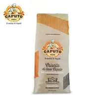 在飛比找PChome24h購物優惠-【CAPUTO】義大利 老麵酵母粉 1kg