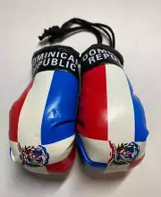 Dominican Republic Hanging Mini Boxing Gloves Pair FREE SHIPPING