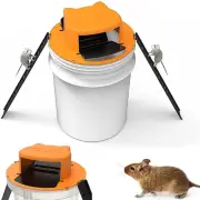 Slide Bucket Lid Rat Catching Rat Trap Mouse Bucket Traps Mouse Trap Mousetrap