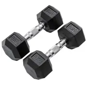 METEOR 8kg Rubber Hex Dumbbells, Hex Dumbbells, Fixed Weight Dumbbells, Gym Weights, Dumbbell Weights (1 Pair)