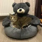 Winter Bear Hug Bed Cat Dog Sleeping Mat Plush Puppy Cushion Sofa Comfort Pet US