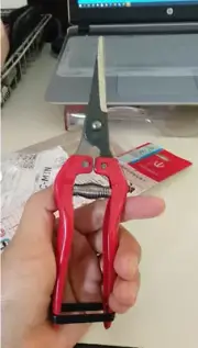 Pruner hand shears Best Tree Trimmer Garden Shears Hand Pruner Scissors 1pc hot