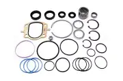 Steering Gear Rebuild Kit Sunsong For 1979-1980 Chevrolet Monza (for: Chevrolet)