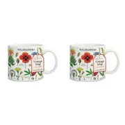 2x Cavallini Vintage Glassware Coffee/Tea Mug 414ml/19.5cm Vintage Wildflowers