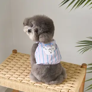 Benny's Puppy 懶人短款上衣