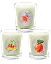 Qualitas Candles 3pc Candle Set - Forelle Pear, The Apple, & Pomegranate