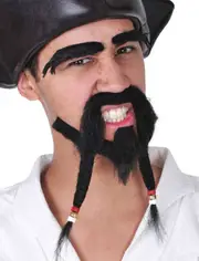 Plaited Pirate Captain Black Facial Hair Set