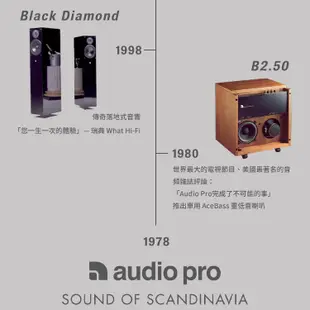 Audio Pro P5 藍牙喇叭 (8.2折)