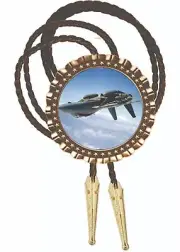 F14 Tomcat Airplane Air force Art Photo Bolo Tie Men's Accessory Neckties