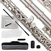16Keys Flute, C Foot Beginner Flute with Closed Hole, Offset G, Split E - Ideal