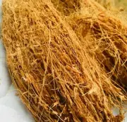 Coconut Husk Fiber for Orchid Anthurium & Plants 100% Natural Growing Media
