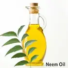 Neem Oil Indian Lilac white cedar Margosa tree chinaberry 100% Pure 30m FreeShip