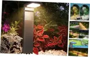 Solar Pathway Lights 4 Pack with Warm White and Cool White Mode, Modern Solar