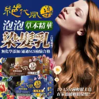 在飛比找蝦皮購物優惠-【台灣製造當天發貨】姍莎菈 草本絕代風染泡泡染髮乳 白髮適用