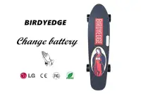 在飛比找樂天市場購物網優惠-BIRDYEDGE 聖母可拆卸電動滑板 選配組合 LG BI