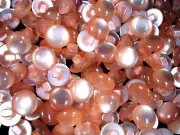 Buttons 12mm Salmon 30pc Sewing Clothing Crafts Sew Dressmaking