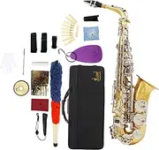 rockible E Flat Sax Full Kit Orchestra Performance Instrument Storage Case for Performance, gold and argent