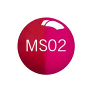 SNS Colour PreBonded Signature Nail Dip Dipping Powder MS02 28g