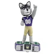 Harry the Husky Washington Huskies Stadium Lights Special Edition Bobblehead