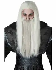 Dark Wizard Long Grey Wig and Beard