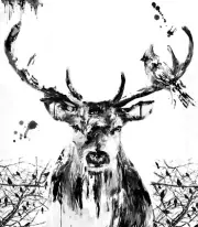 Stag Deer Birds Abstract NEW Balck and white Wall Art DIY Home Decor Painting