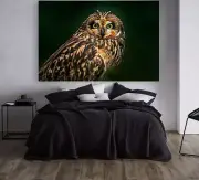 OWL beautiful & colorful animals high quality Canvas painting Home decor