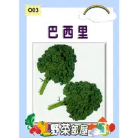 在飛比找蝦皮購物優惠-【野菜部屋~】O03 日本巴西里種子0.7公克 , 俗稱"荷