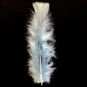 Flat Top Marabou Feather Pack 10 grams - Light Blue