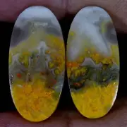 44.00 Cts Natural BumbleBee Jasper Matched Pair Cabochon Gems For Earring Supply