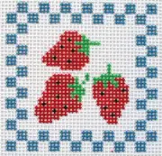 Set of 4 Country Fruit Coasters Hand Painted Needlepoint Canvas