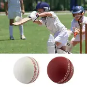 Cricket Ball Sports Wind Cricket Balls Indoor Outdoor Soft Training Balls