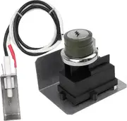 Igniter Kit Replacement for Weber 91360 Spirit E-310, E-320 200, E-210, Spirit 300, and More Gas Grills (2009-2012) with Side-Control Panel (2 Outlet)