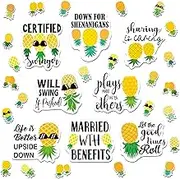 Tellegloww 25 Pcs Upside Down Pineapple Magnets: Fun, Humorous Style, Upside-Down Pineapple Decorative Magnets, 25 Count, PVC Material, Perfect for Cruise Doors, Fridges, and More
