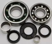 All Balls Differential Bearing and Seal Kit Front 25-2053