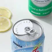 6pcs Can Convert Soda Savers Tops Snap On Leakproof Can Lid Dust Free Sealer'BI
