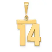 14k Yellow Gold Medium Polished Number 14 Charm