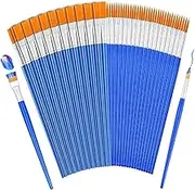 Set of 100 Professional Acrylic Paint Brushes with Flat and Round Tips, Colouring Doodle Brushes,Craft Brushes,Plastic Rod Hooks,Flat Tip Paint Brushes