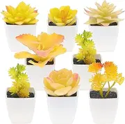 Quancru 8 Pcs Artificial Succulents Plants in White Pot Mini Fake Succulent Agave DIY Home Desk Shelf Bedroom Windowsills Office Photography