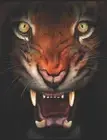 Un Tigre En Colre: recueil de po?mes by Chris Ander (French) Paperback Book